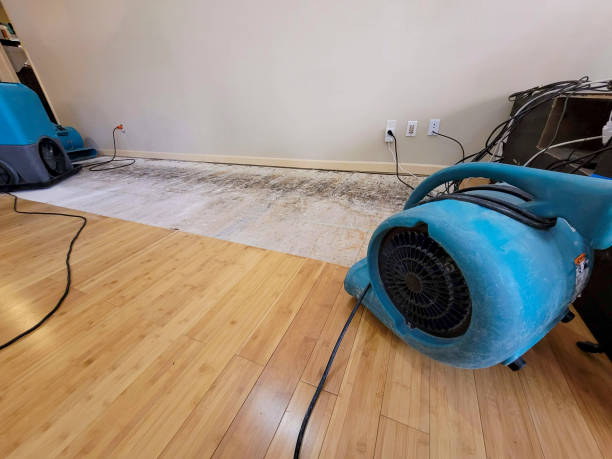 Professional Ceiling Water Damage Repair technician working in Sarahsville, OH